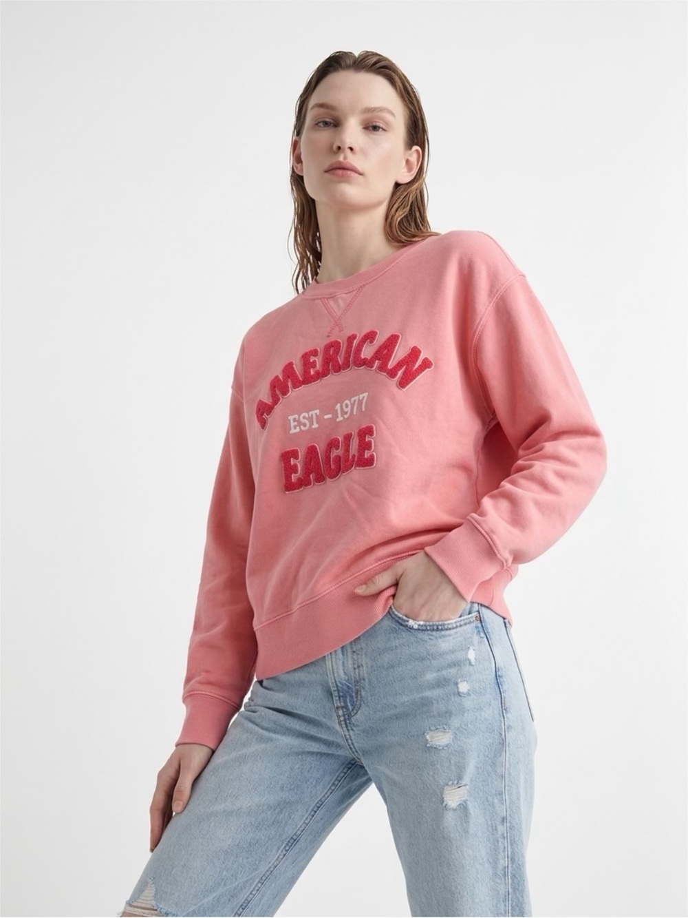 American Eagle Outfitters Pink Crewneck Sweatshirt